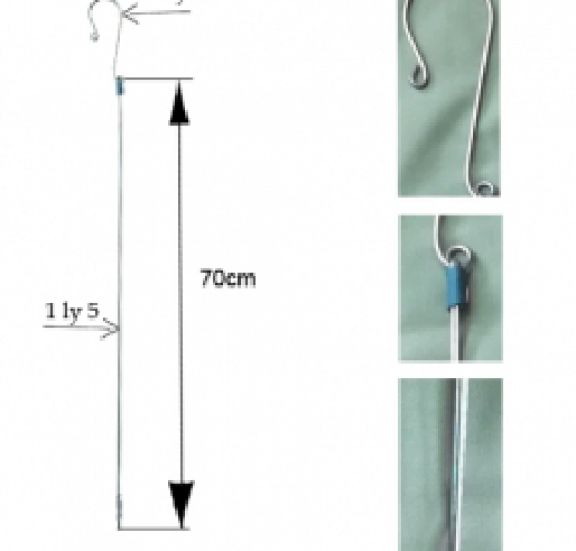  MÓC LAN 70CM- THÂN 1 LY 5 - MÓC 2 LY 3