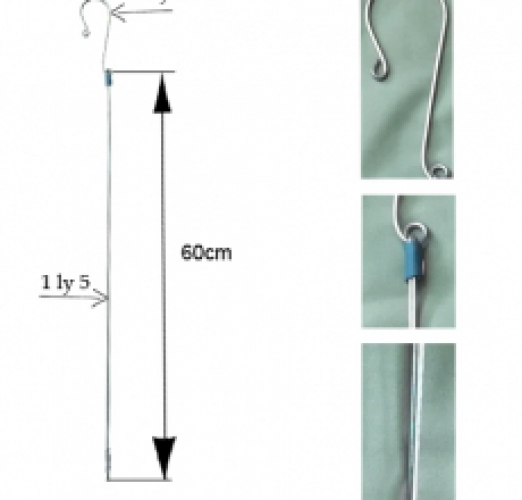  MÓC LAN 60CM- THÂN 1 LY 5 - MÓC 2 LY 3